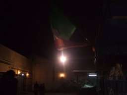 DSCF3115